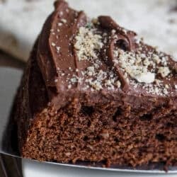 A slice of chocolate hazelnut cake on a cake server.