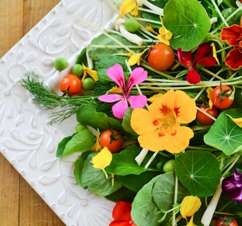 edible flower salad