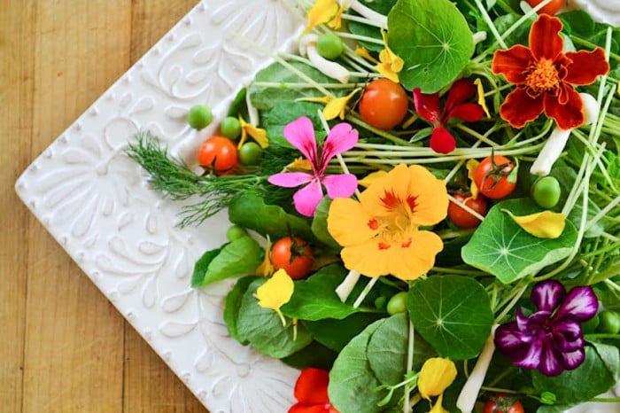 15 Beautiful Edible Flowers to Brighten Your Dishes - 31 Daily