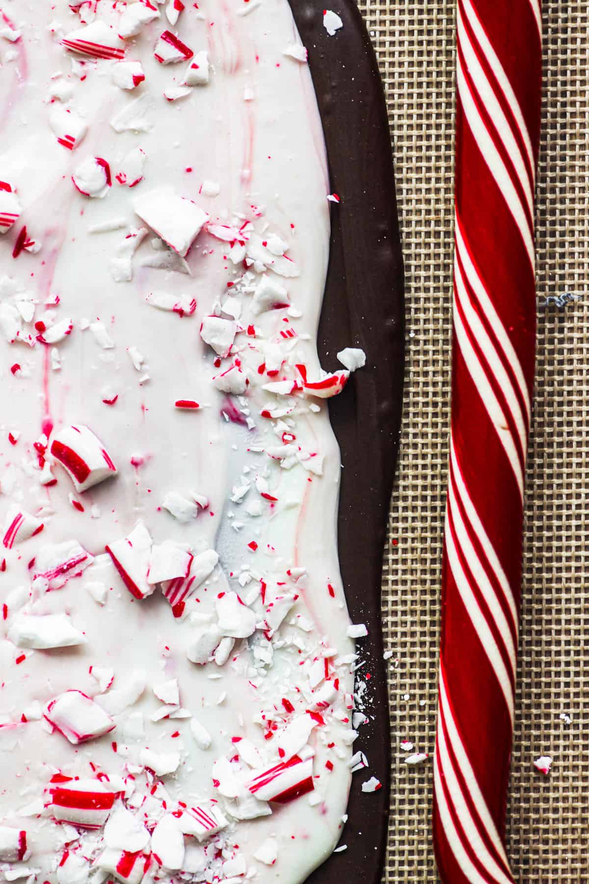 A slab of peppermint bark with a candy cane.