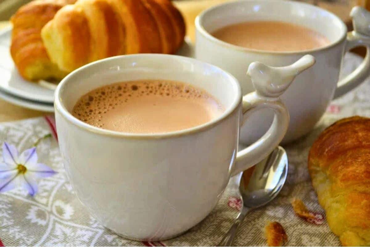 French press drinking chocolate in pretty white mugs.