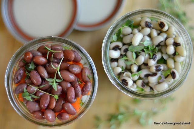 https://theviewfromgreatisland.com/wp-content/uploads/2013/04/Mason-Jar-7-Bean-Salad-1.jpg