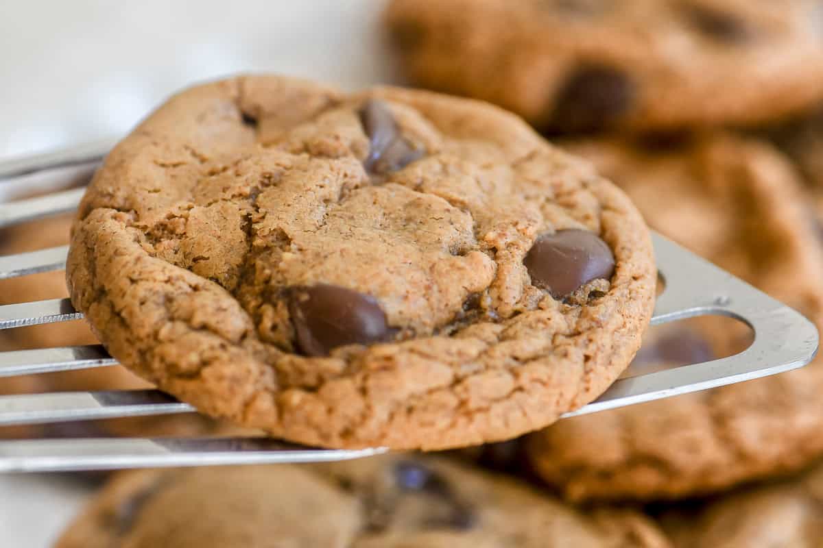 Flourless Almond Butter Chocolate Chip Cookies (gluten free)