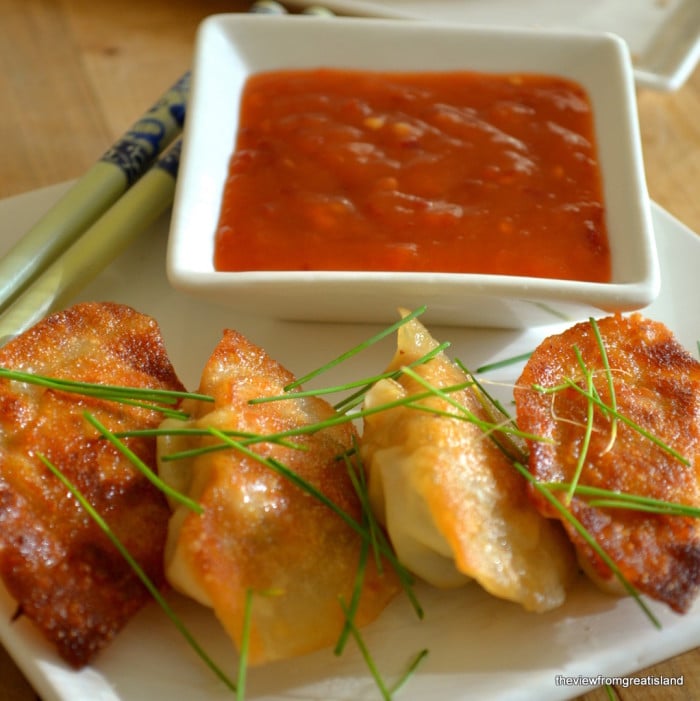 How to Make Chicken Gyoza (Pot Stickers) | The View from ...