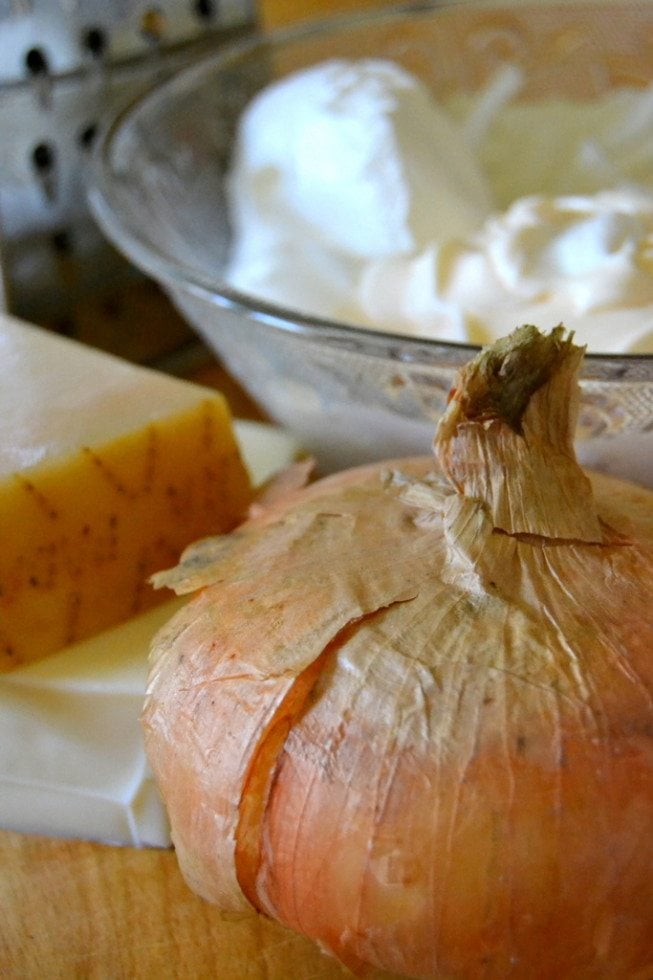 Sweet Vidalia Onion Dip The View from Great Island