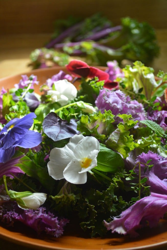 Spring Salad with Edible Flowers • The View from Great Island