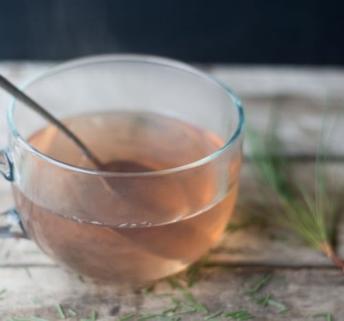Vitamin C rich Pine Needle Tea