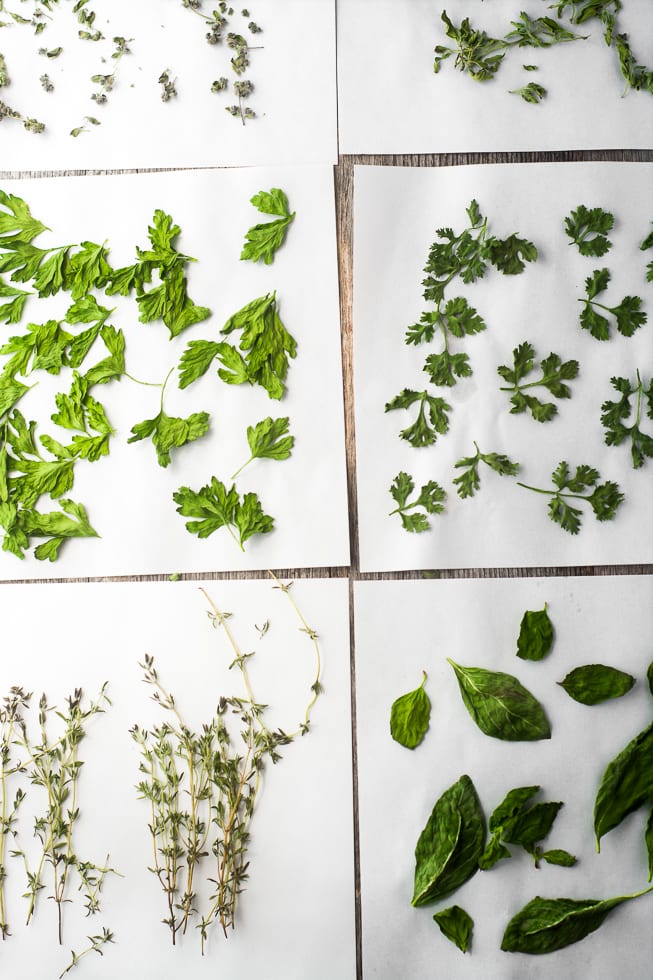 How to Dry Herbs in the Microwave The View from Great Island