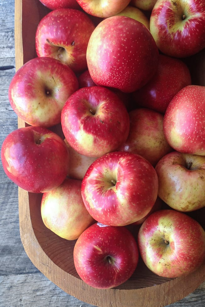 Sweetango apples for Baked Brie with Maple, Apples, and Pecans ~ theviewfromgreatisland.com