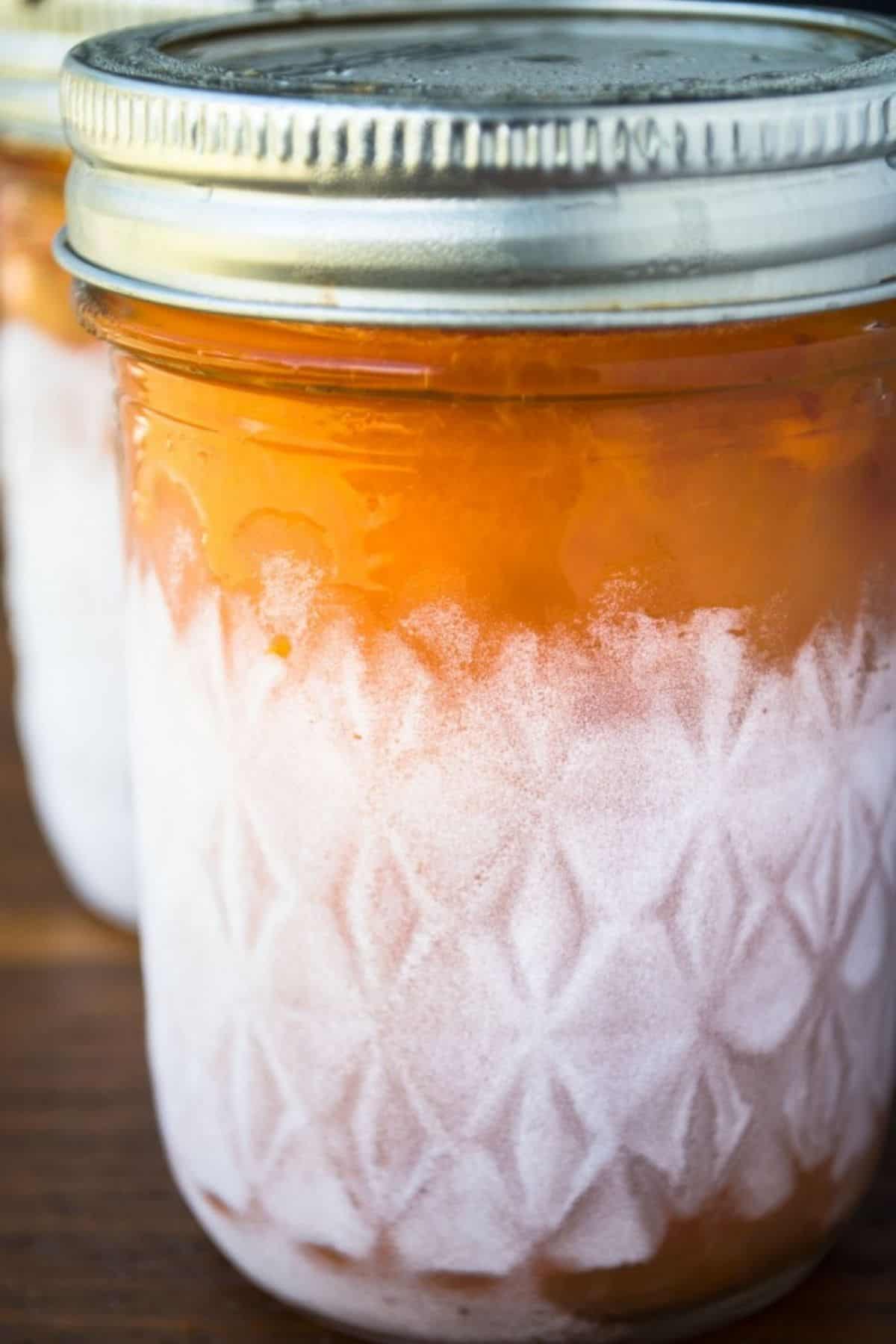 apricot nectarine freezer jam.