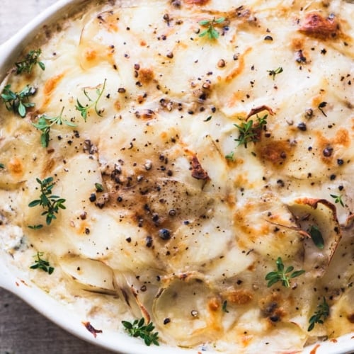 potato gratin with thyme