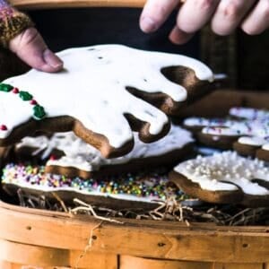 Holding a royal iced gingerbread cookie.
