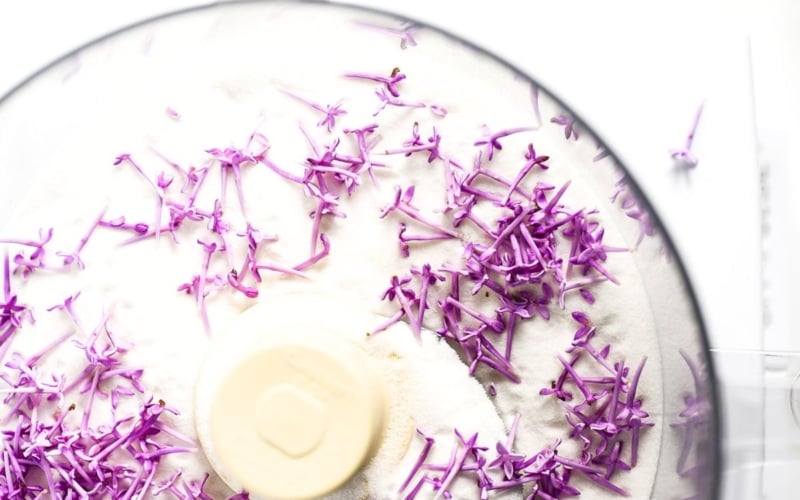 Making lilac sugar in a food processor.