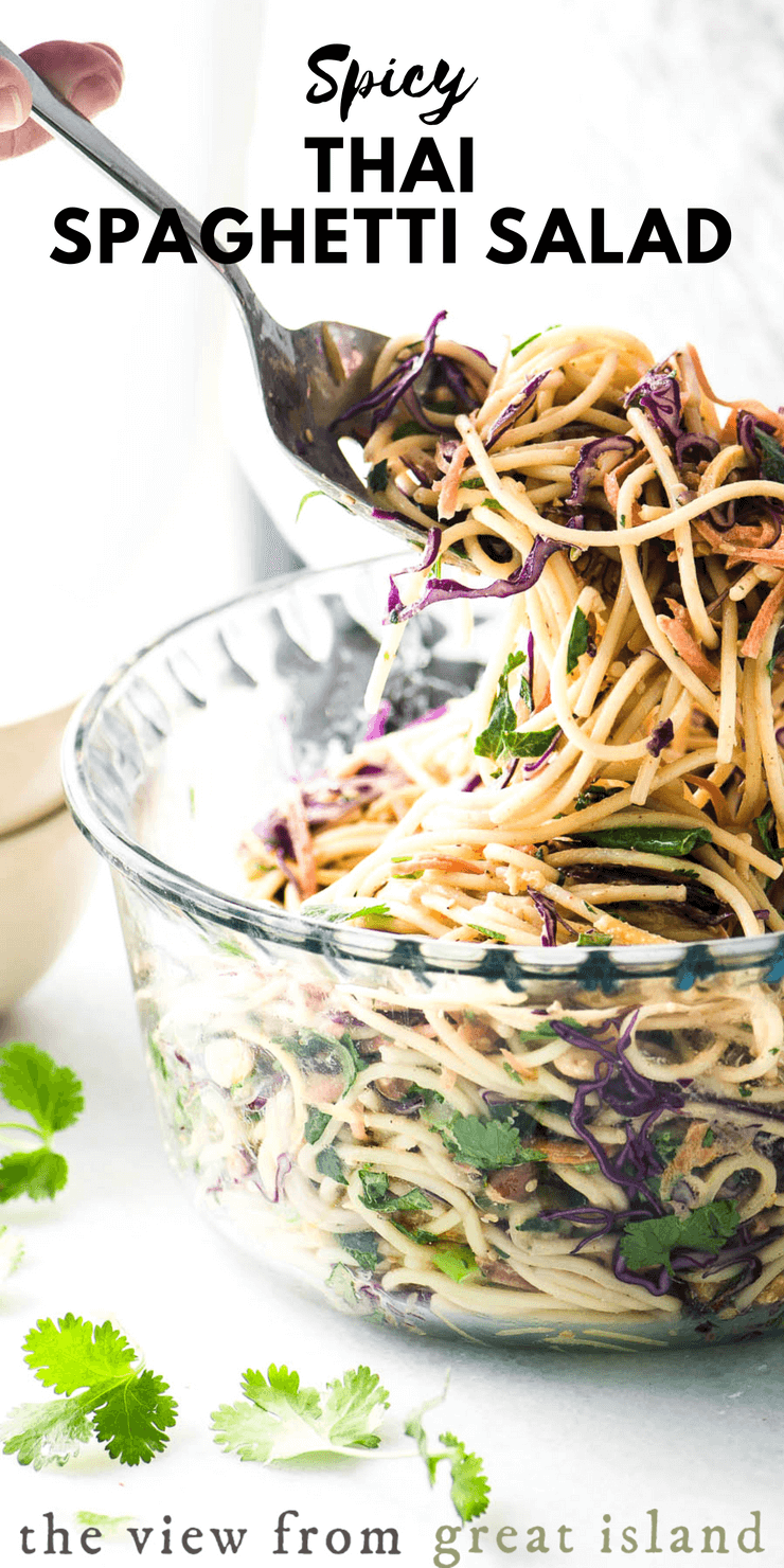 This yummy Spicy Thai Spaghetti Salad is an delicious twist on a potluck classic ~ quick to prepare using common ingredients, the Asian flavors in this colorful pasta salad really pop! #salad #pastasalad #spaghetti #potluck #barbecue #recipe #easy #fromscratch #homemade #summer #Thai #vegan #vegetarian #coldpasta #sidedish