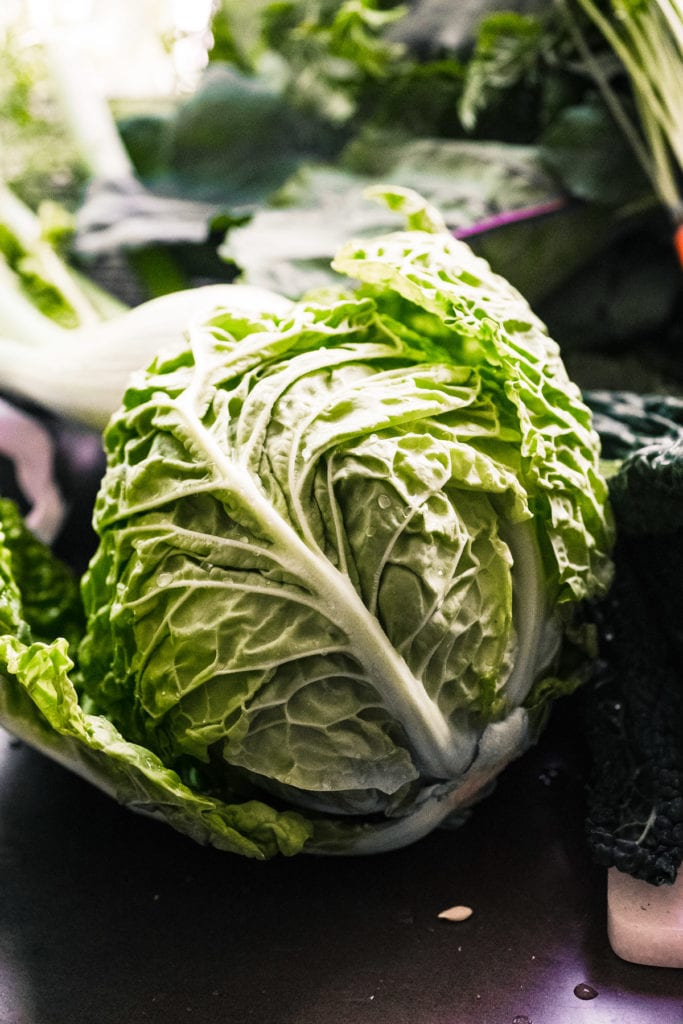 cabbage for a Vibrant Winter Slaw
