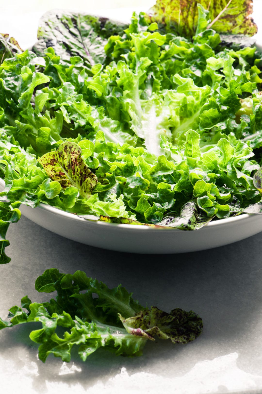 Is Your Salad Safe? A Guide to Leafy Greens • The View from Great Island