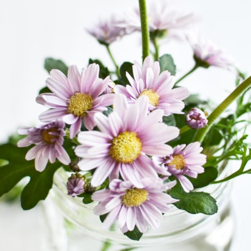 A vase filled with purple flowers