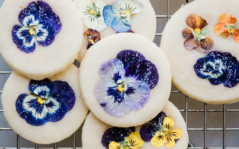 colorful pansy shortbread cookies