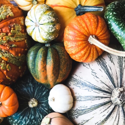 How to cook any type of winter squash