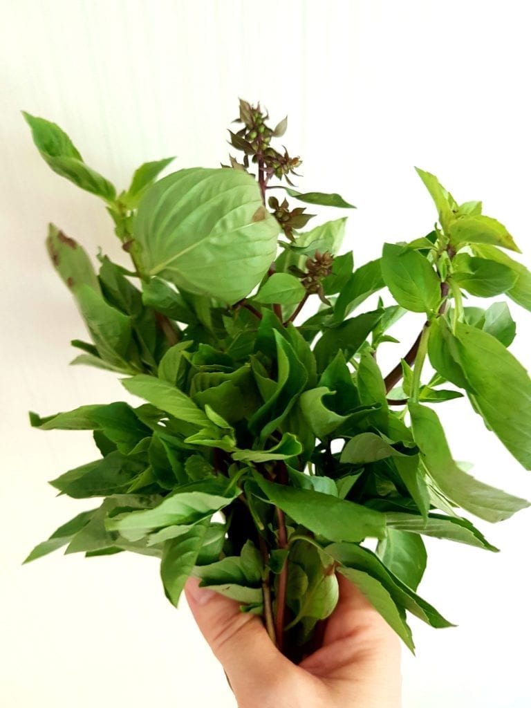 Thai basil