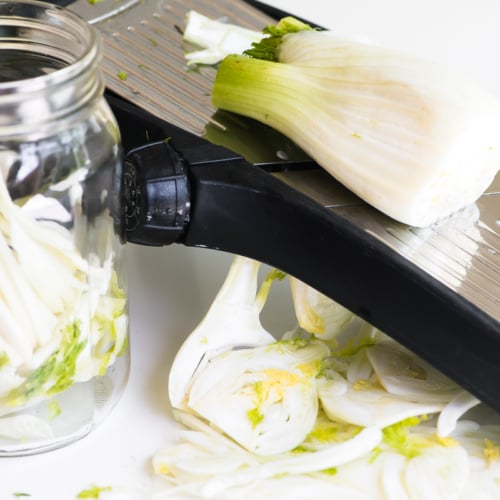 Quick Pickled Fennel • The View from Great Island