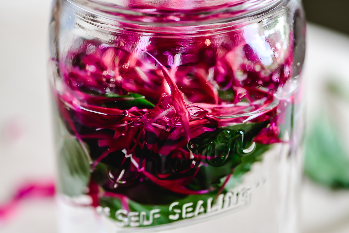 How to Make Bee Balm Tea • The View from Great Island