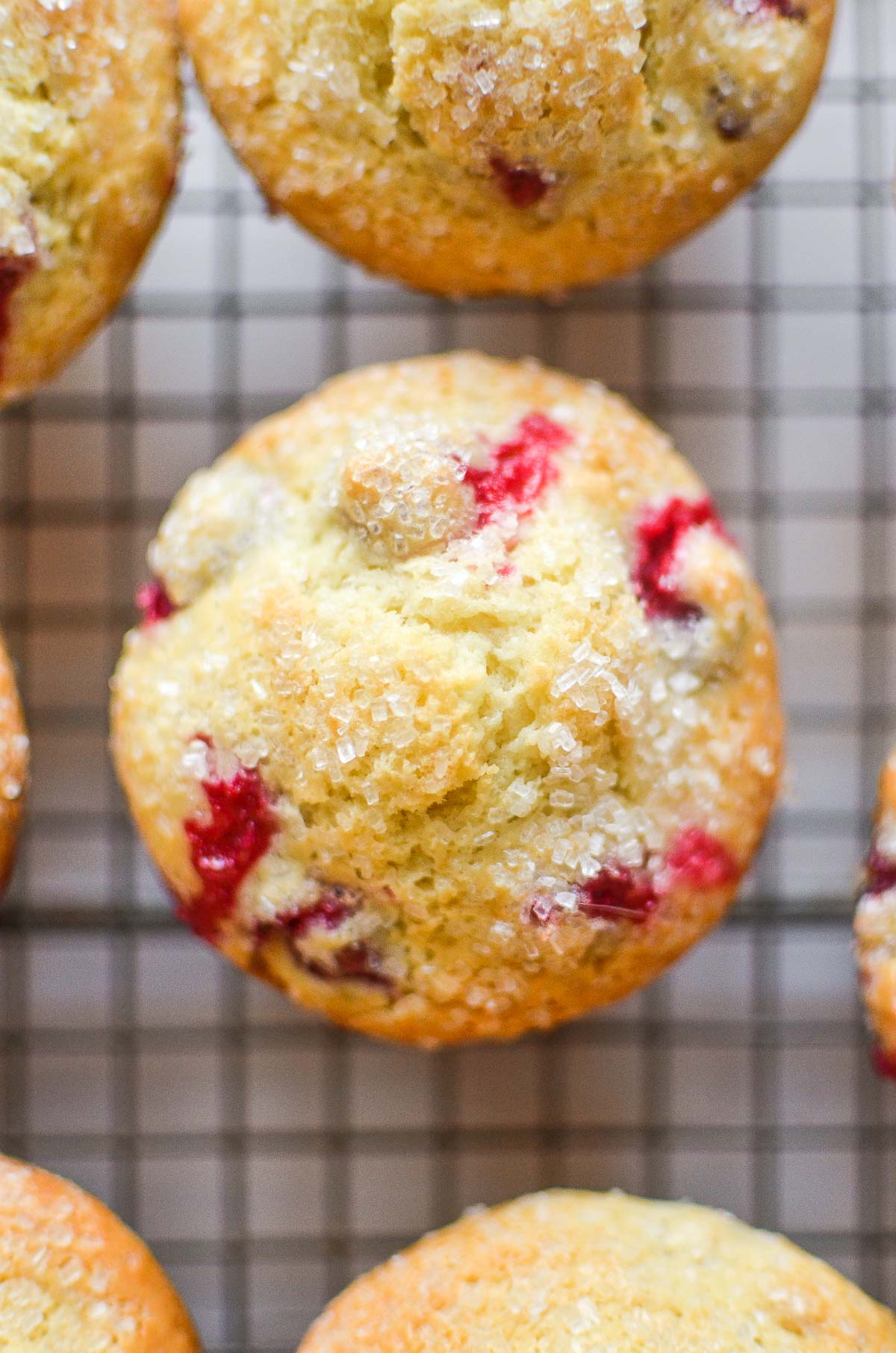 Fresh Cranberry Muffins • The View from Great Island