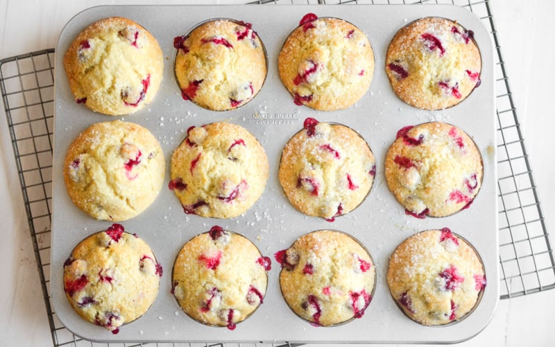 cranberry muffins in a muffin pan