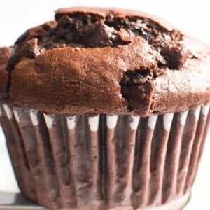 a rich double chocolate muffin.