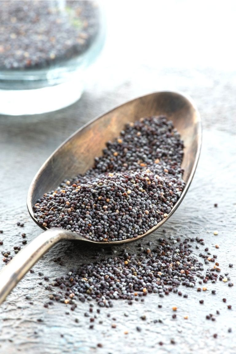 BEST Lemon Poppy Seed Recipes!