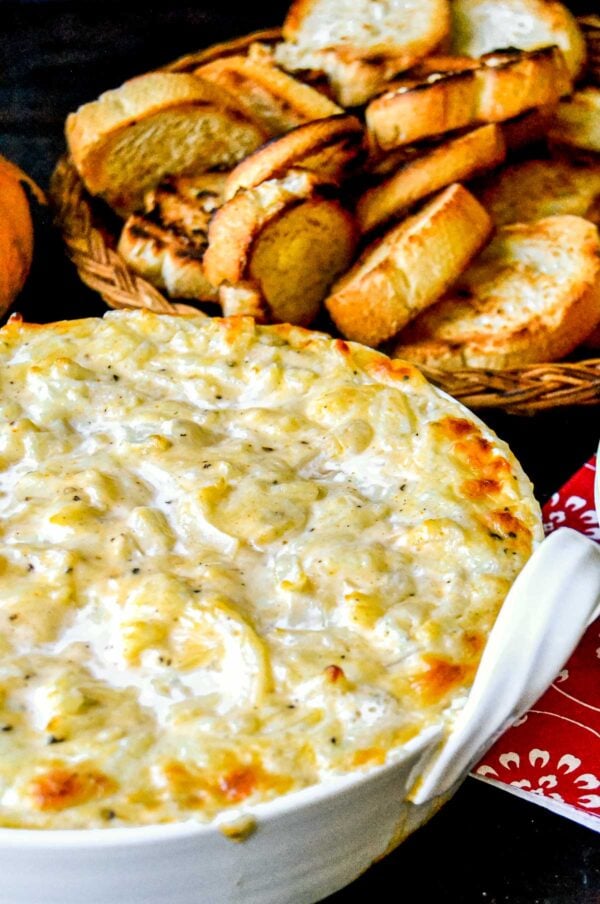 Sweet Vidalia Onion Dip • The View from Great Island