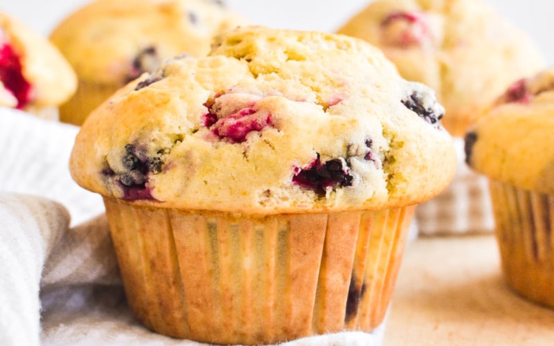 triple berry muffin