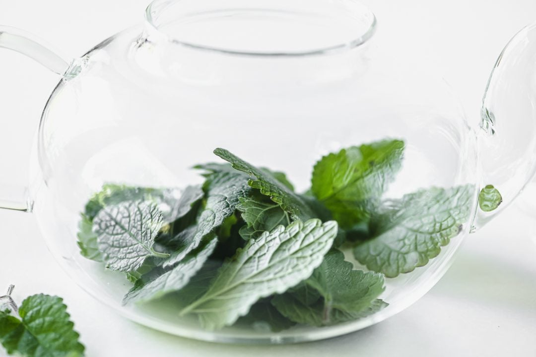 How to Make Lemon Balm Tea • soothing and relaxing!