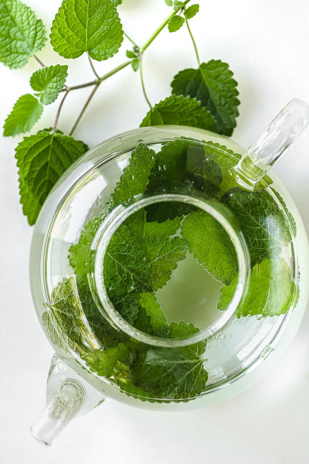 How to Make Lemon Balm Tea • soothing and relaxing!