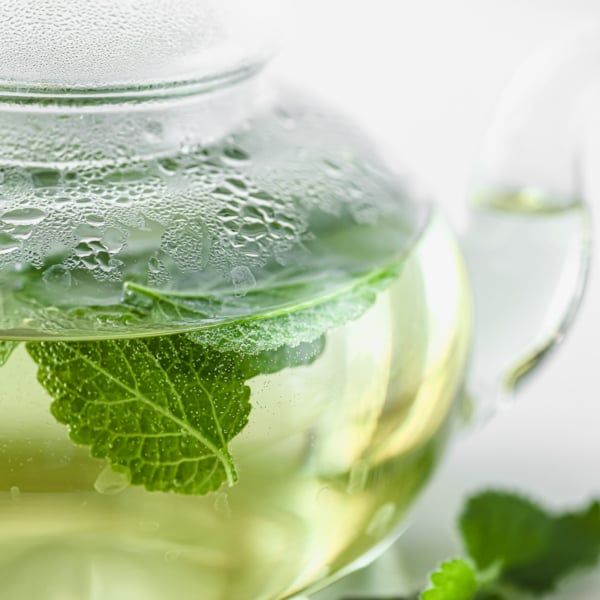 a pot of lemon balm tea