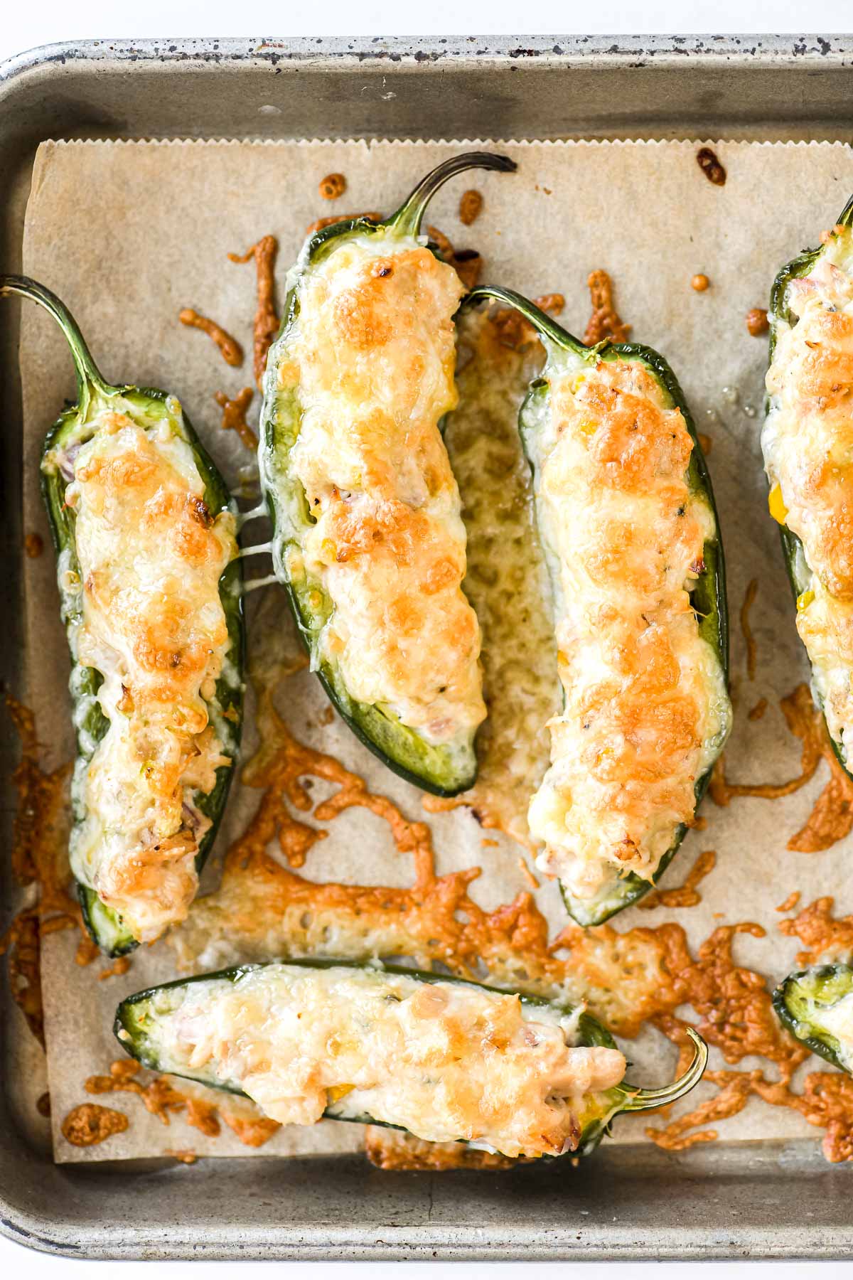tunapeño poppers on a sheet pan with melted cheese on top.