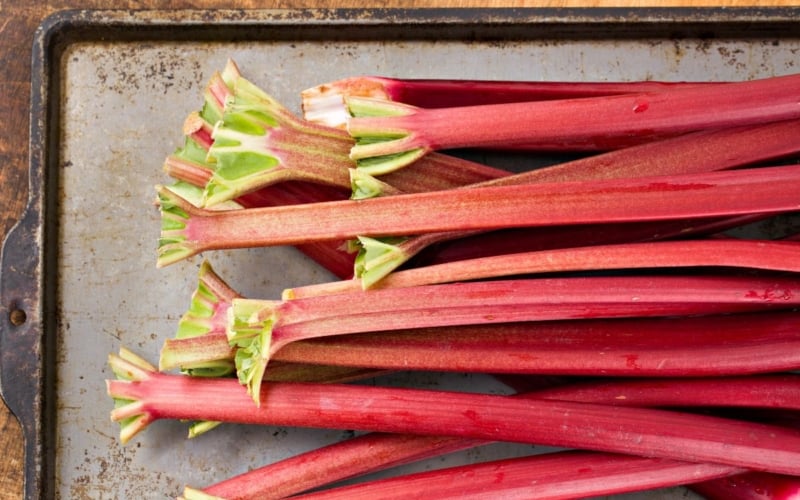 stalks of rhubarb on a sheet pan.