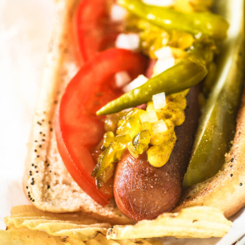Traditional Chicago Style Hot Dog, with all the toppings.