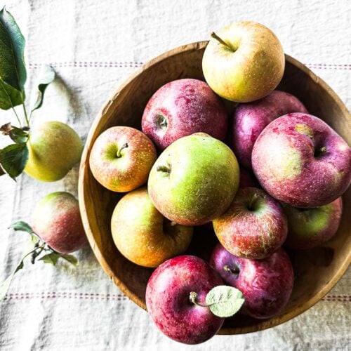 A bowl of fresh picked fall apples.