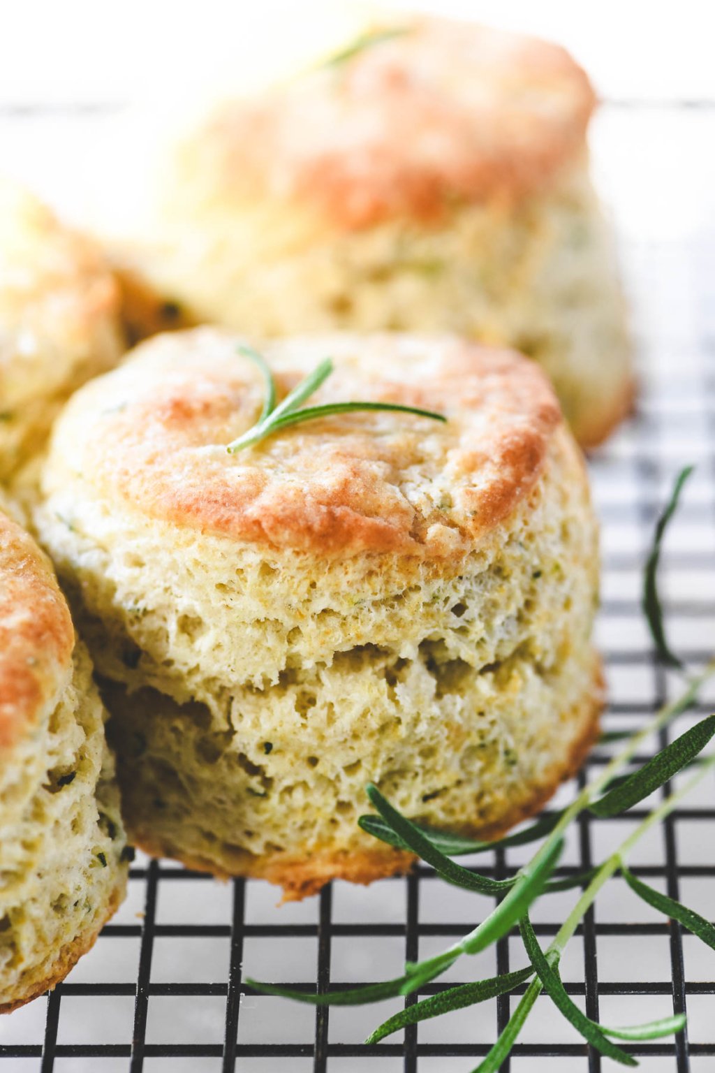 Rosemary Biscuits • The View from Great Island