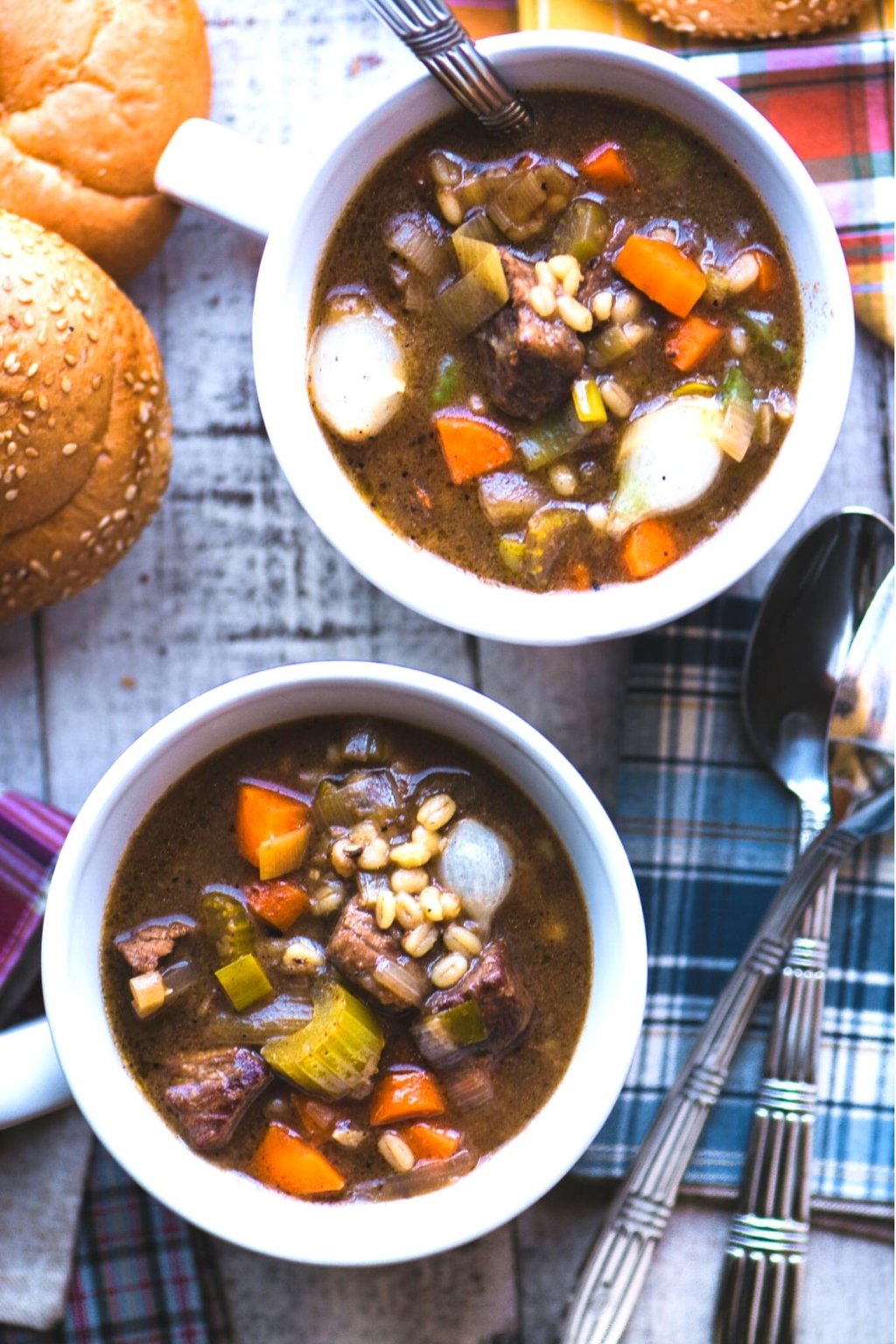 BEST Dutch Oven Soup Recipes!
