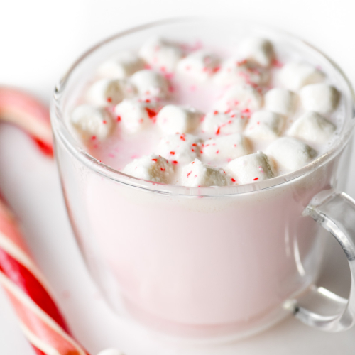 peppermint white hot chocolate mix in a mug.