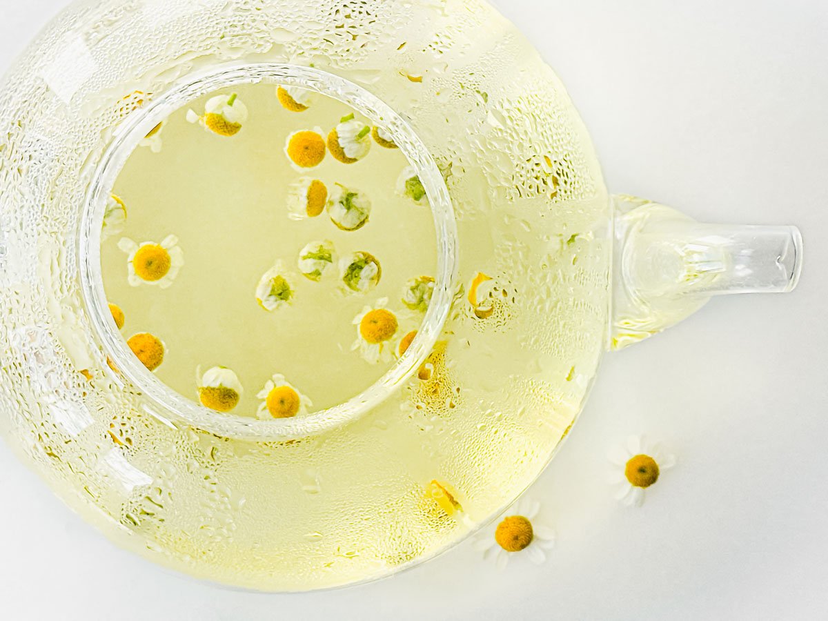 steeping fresh chamomile for chamomile tea for an afternoon tea party.