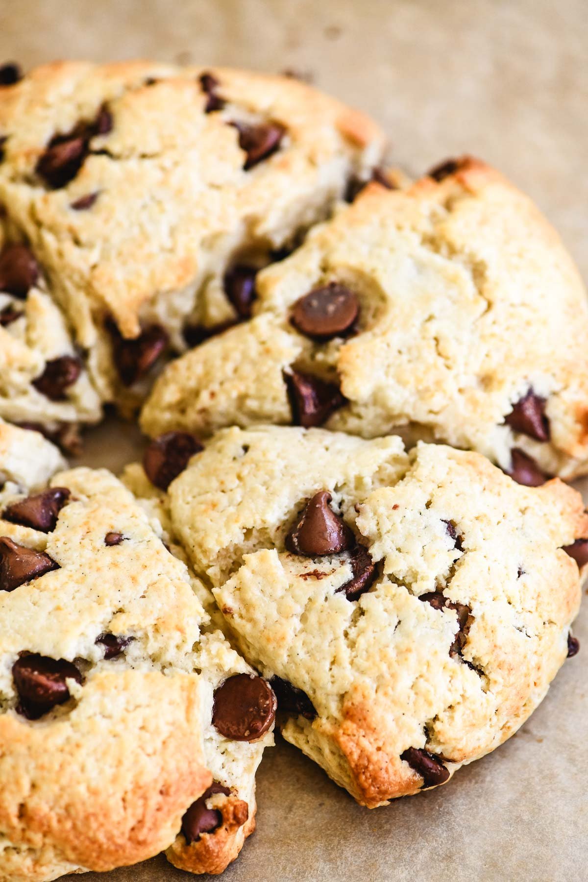 Pull apart chocolate chip scones on a parchment lined baking sheet.