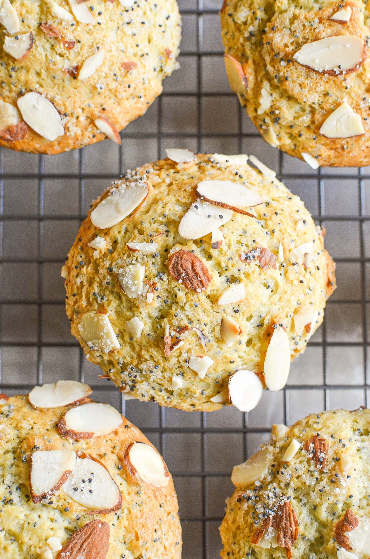 almond poppy seed muffins, overhead, on a cooling rack.
