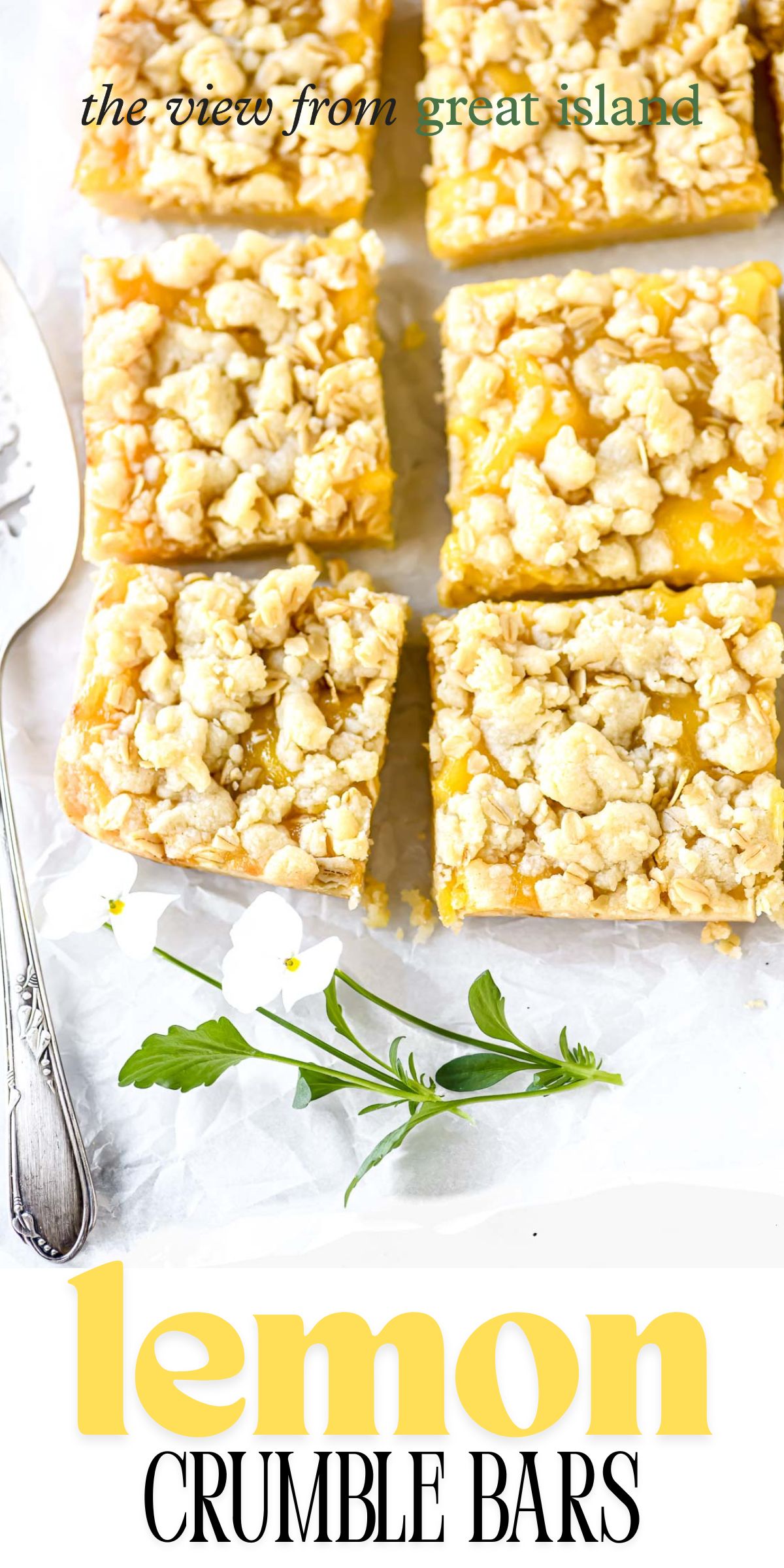 lemon crumble bar pin.