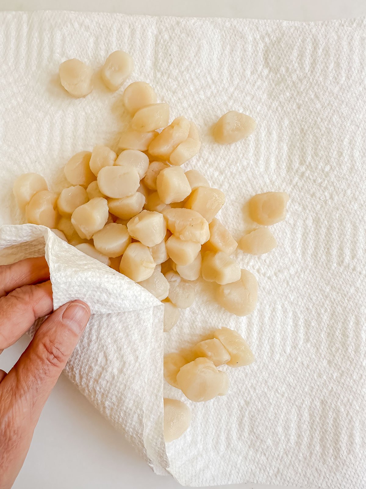 patting bay scallops dry.