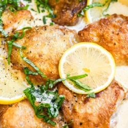 creamy lemon basil chicken with shredded basil and fresh lemon slices.