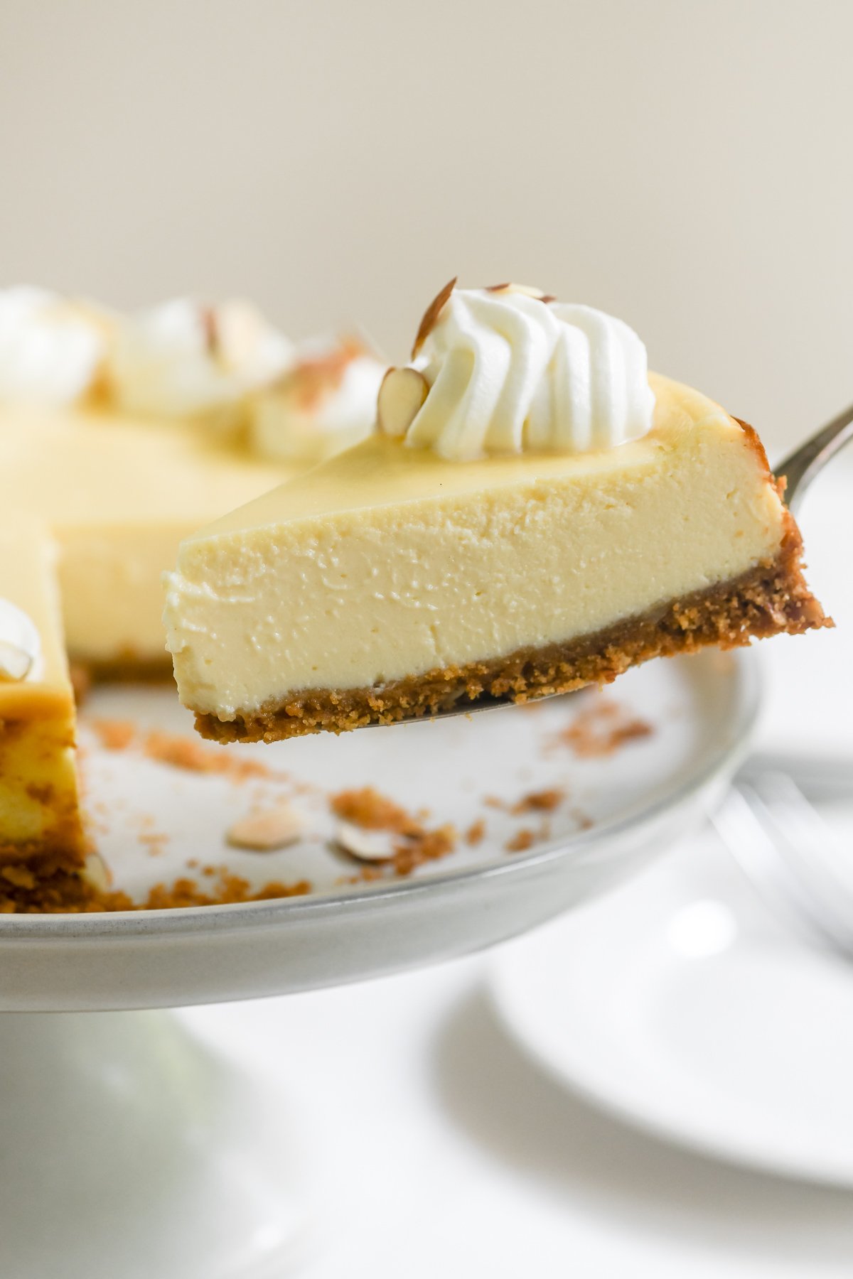 a slice of almond cheesecake on a cake server.