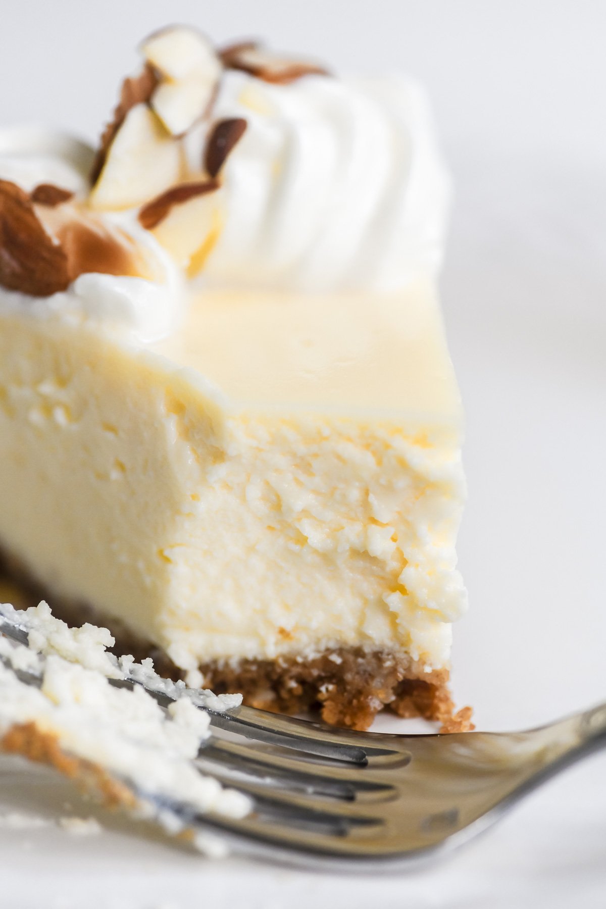 bites taken from almond cheesecake showig silky texture.